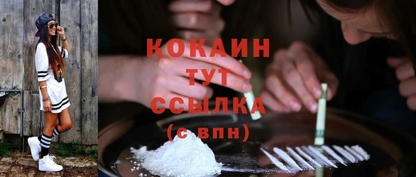 spice Арсеньев