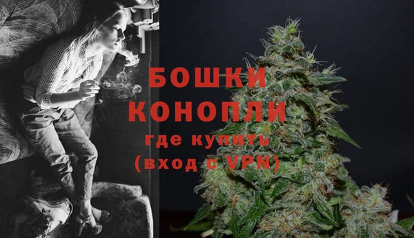 spice Арсеньев