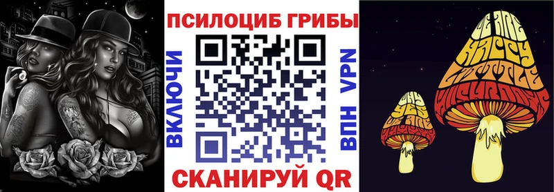 мориарти как зайти  купить наркотики цена  Гагарин  Галлюциногенные грибы Psilocybine cubensis 